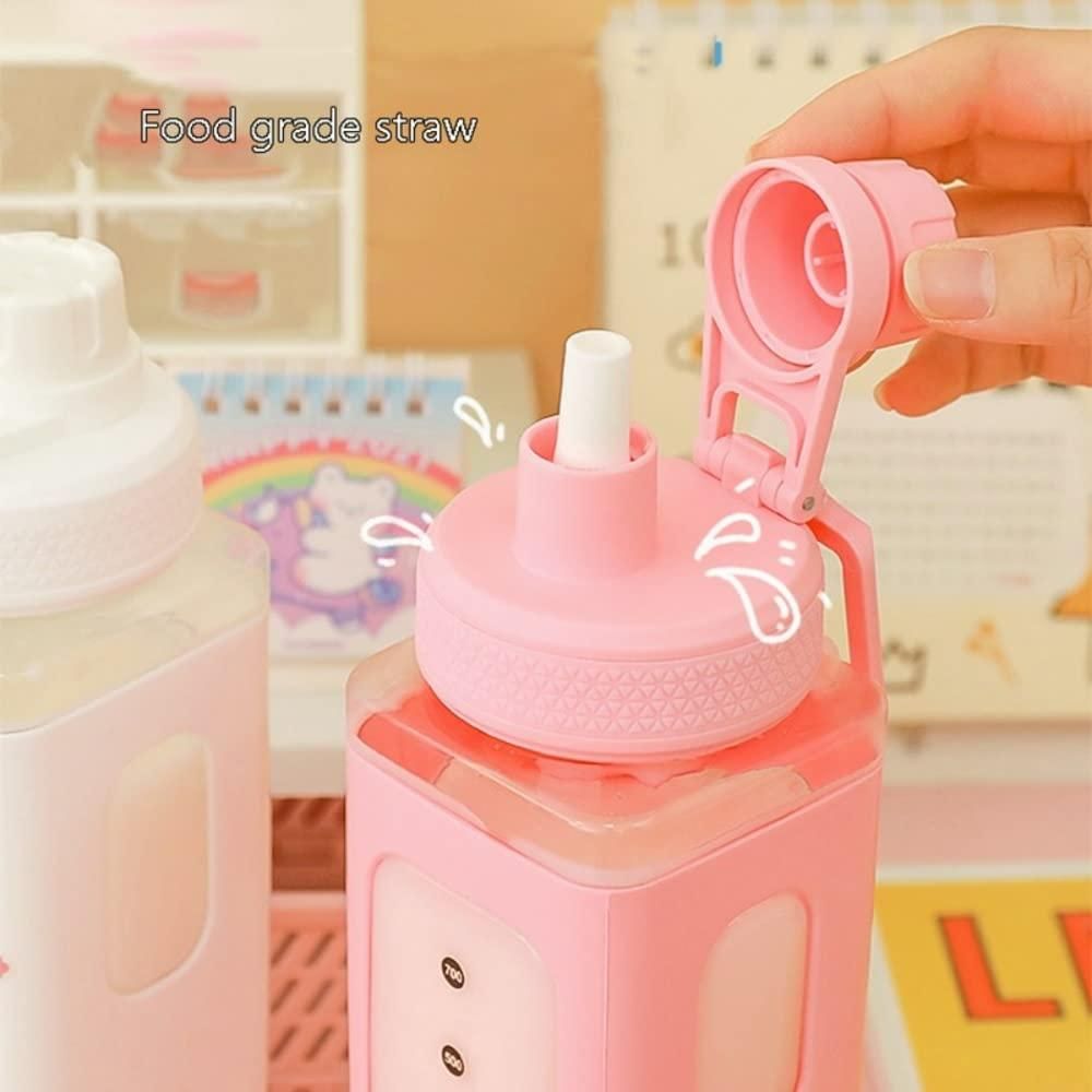 Cute 700ml Water Bottle with Lid and Straw