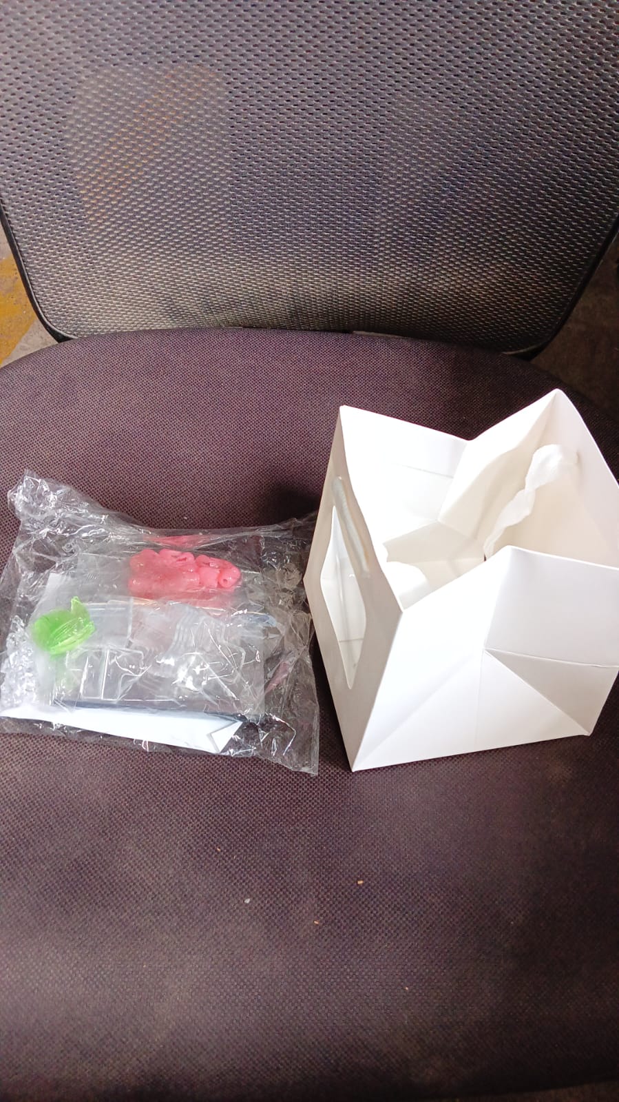 Tulip LED Decorative Night Lamp